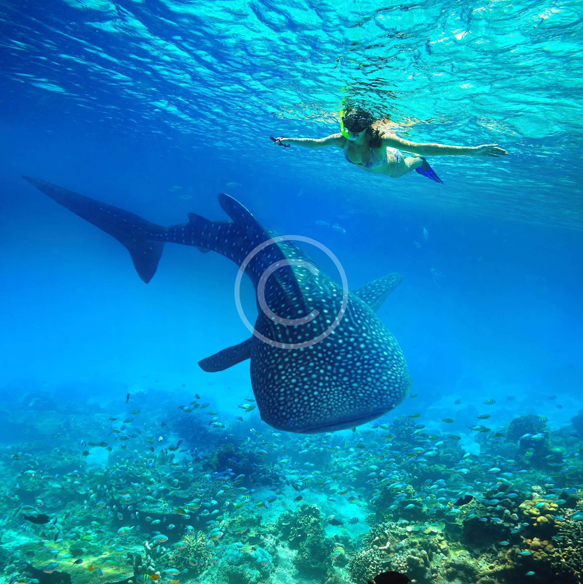 Technical Diving Equipment