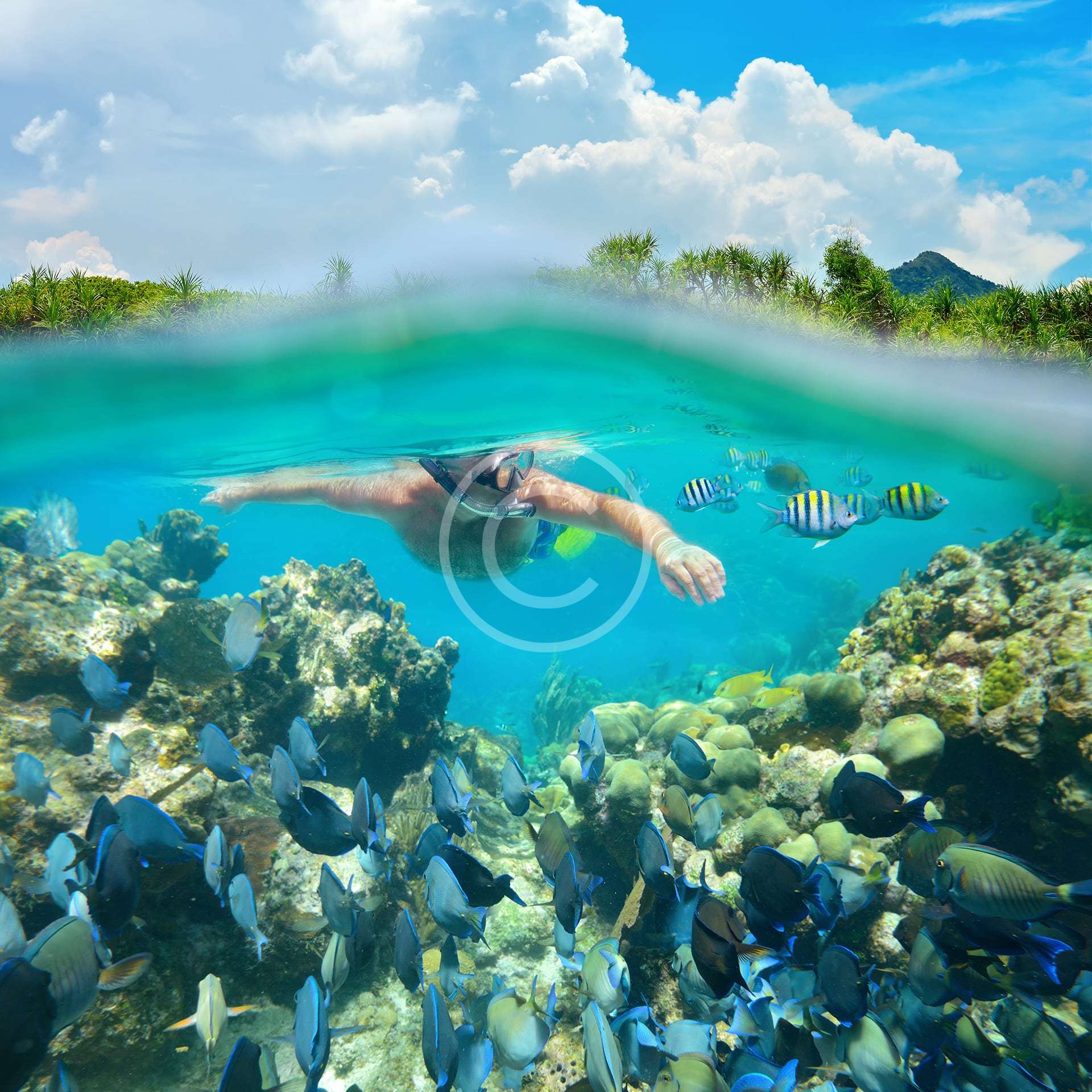 Recreational Diving Equipment